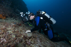 open water diving
